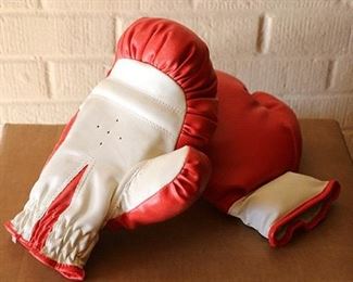 Boxing gloves