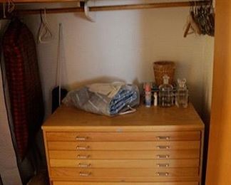 Artist art storage cabinet