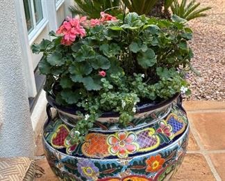 Mexican Pot & Plant #1		
