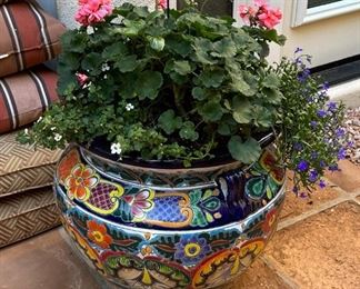 Mexican Pot & Plant #1		
