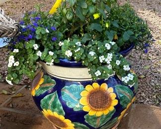 Mexican Pot & Plant #2		
