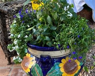 Mexican Pot & Plant #2		
