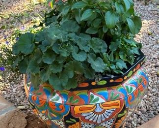 Mexican Pot & Plant #3		
