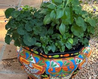 Mexican Pot & Plant #3		
