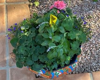 Mexican Pot & Plant #3		
