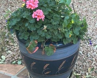 Wheat Leaf Pot & Plant #1		
