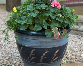 Wheat Leaf Pot & Plant #1		
