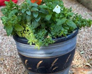 Wheat Leaf Pot & Plant #2		
