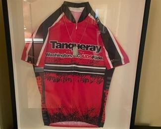 Framed vintage Tanqueray DC AIDS ride 5 cycling biking jersey.
