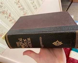 The practical stock doctor book