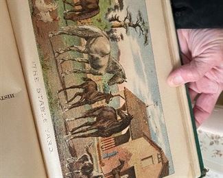 gorgeous illustrations in this book!