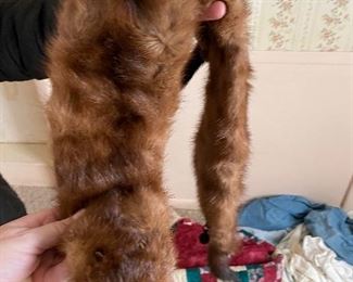 Mink? collar?