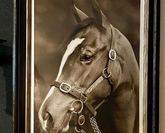 William Stafford: Ben Wood Templeton "Horse" Framed Photograph 30/295