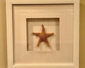 Shadowbox Starfish