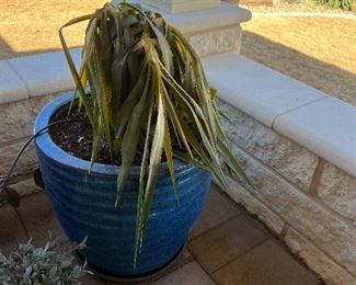 $115~ OBO ~ (2 AVAILABLE) ~ 20 1/2" CERAMIC POT