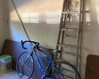 Bike and aluminum ladder