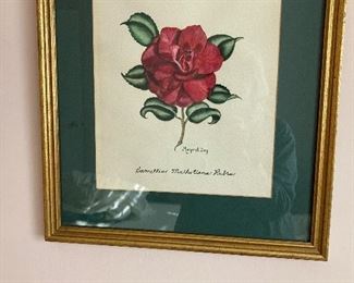Hand painted camellia 