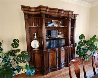 Stately LIghted Bookcase