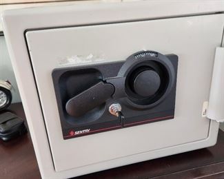 Sentry Safe