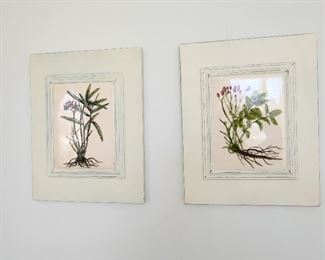 Botanical Wall Art