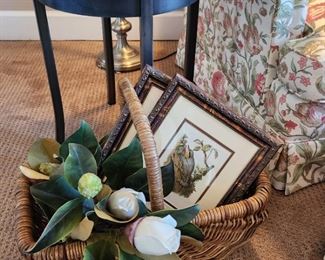 Framed Bird Pictures