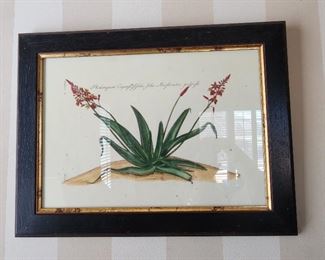 Botanical Wall Art