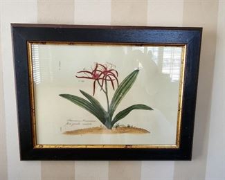 Botanical Wall Art
