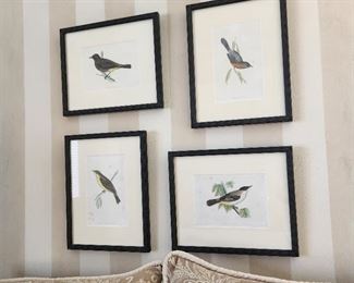 Framed Bird Wall Art