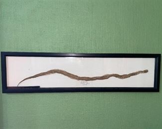 Memorial of Pet Snake!