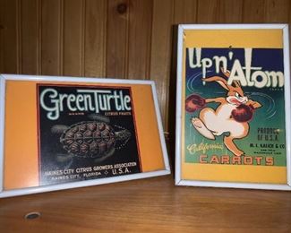 Green Turtle Brand Citrus Fruits & Upn’Atom!
