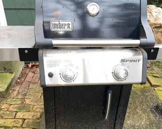 Weber Spirit Grill!