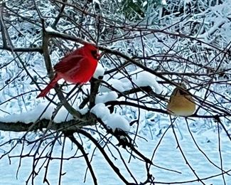 LIFE’s SIMPLE PLEASURES! 