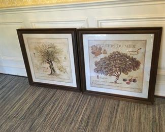 Beautifully framed tree prints