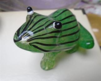 glass frog