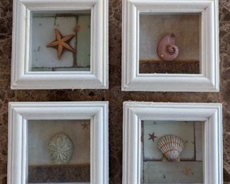 Framed Seashell Set