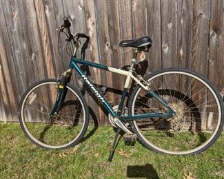 Raleigh 19" Bicycle