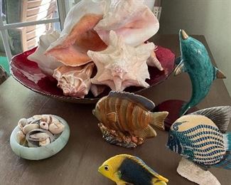 Large conch shells