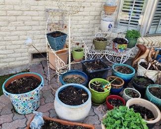 so many garden pots here