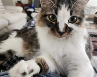 Hi, I am Pearl. My Mommy says that I am so cute, I should be famous. So here I am. Hope you enjoyed our photos!
