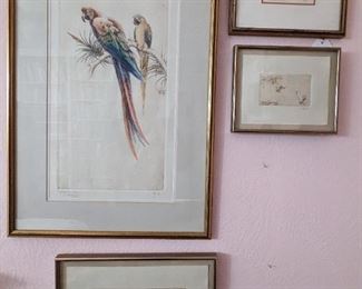 Sandy Scott Macaws Etching.                                               Sandy Scott Cranes Etching                                                 Sandy Scott Geese Etching                        