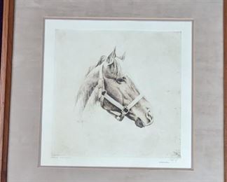 Sandy Scott Thoroughbred Etching