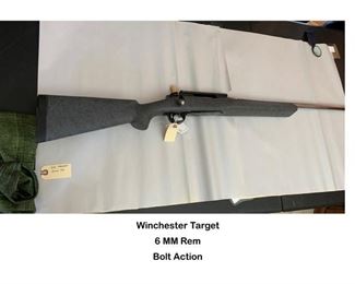 Winchester Target