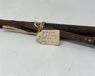 Historic Detroit Belle Isle 1950s Railroad Spikes