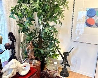 Another very large silk tree.