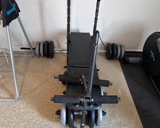 Weight bench & sets of weights, all sizes.