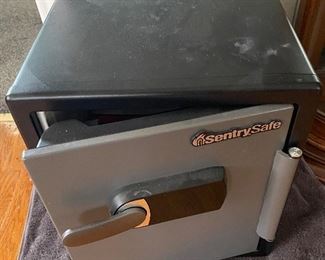 Sentry Floor Safe