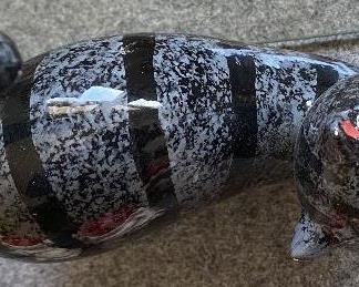 Cat with Spring Tail and Head