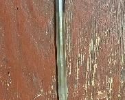 WW2 German Sword with No Scabbard