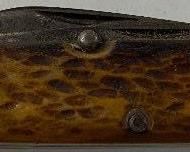 Bone Handle Pocketknife