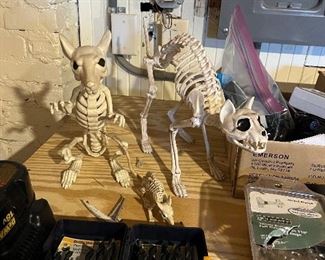 Halloween decorations.